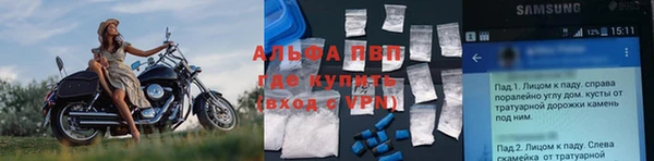 тгк Медногорск