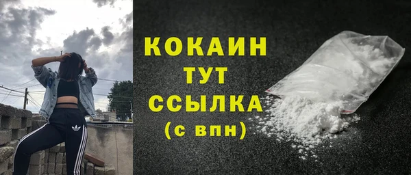 тгк Медногорск