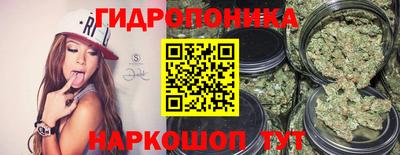 не бодяженный Гатчина