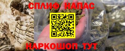 ешки Гагарин