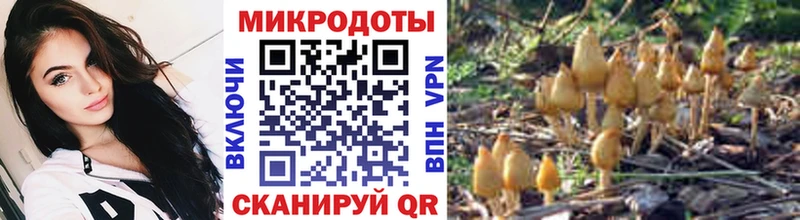 Галлюциногенные грибы Magic Shrooms  Казань 