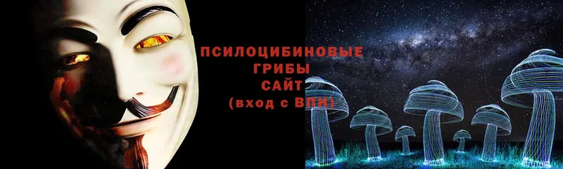 Галлюциногенные грибы Psilocybe  дарнет шоп  Казань 