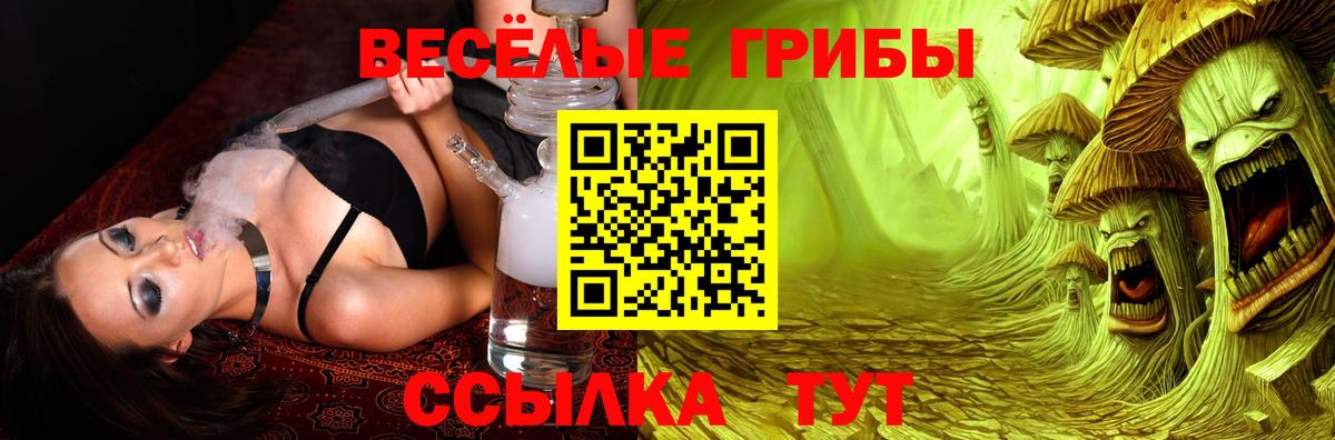 Галлюциногенные грибы ЛСД Казань